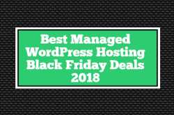 Best Cheap Shared SSD Hosting - WebCrazies