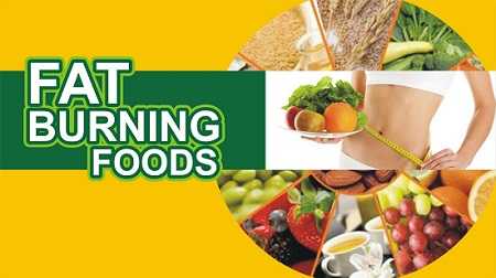 Best Fat Burning Foods For Weight Loss - Indian Weight Loss Blog % %