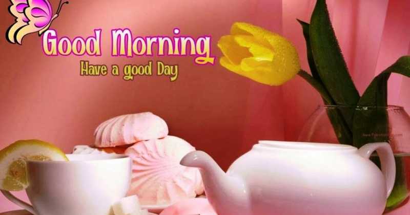 Best Good Morning HD Images & Wallpaper(1080P) For WhatsApp Free Download In 2019