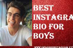 Best Instagram Bio for Boys {Attitude, Love, Emoji, Hindi}