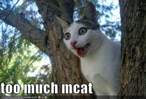 Best MCAT Prep Books | Top Study Guide For MCAT 2017