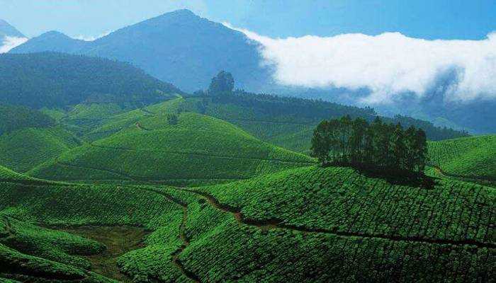 Best Monsoon Travel Destinations In The World - Tips Clear Beauty Business Health Tech Travel And General