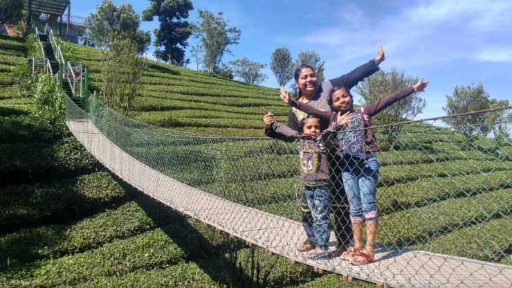 Best Munnar Resorts: Check Out Our Munnar Trip Experience.