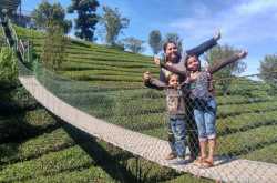 Best Munnar Resorts: Check out our Munnar trip experience.