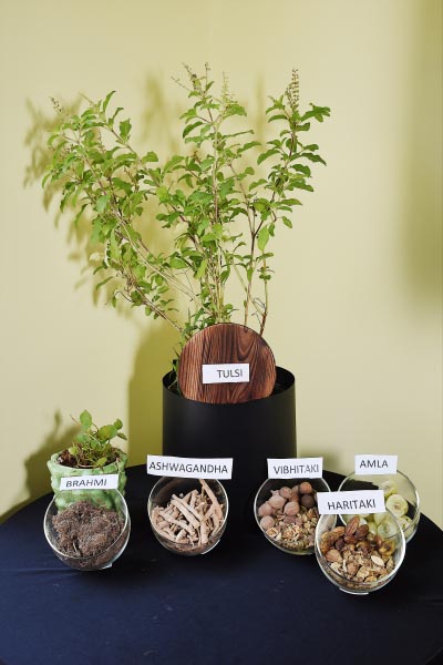 Best Of Nature And Best Of Science Amalgamated By Amway