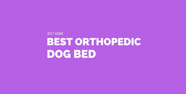 Best Orthopedic Dog Bed: 2017 Most Valuable Guide