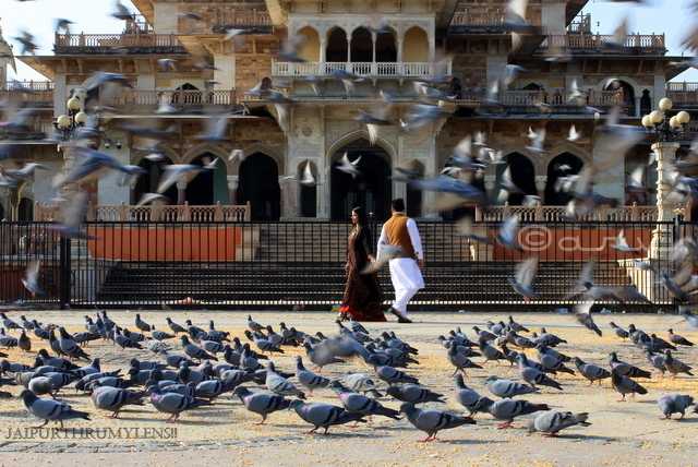 Best Places For Pre-Wedding Photo Shoots In Jaipur