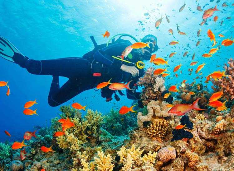 Best Places To Visit In February In India - Indianholiday