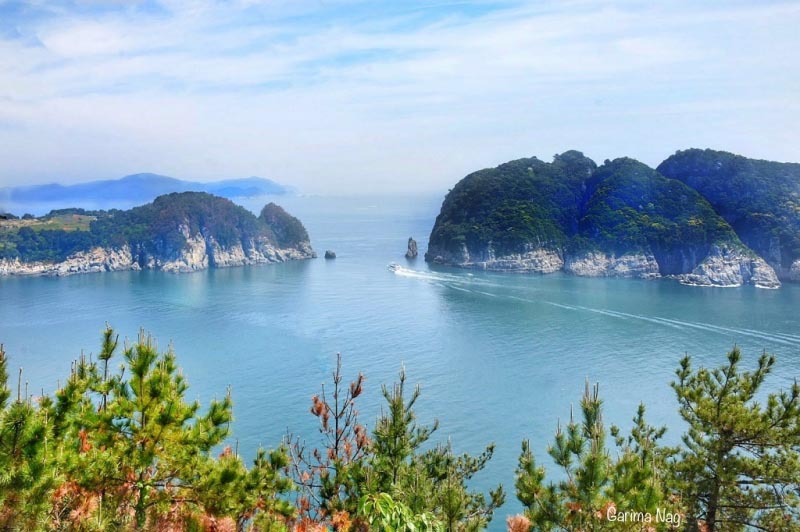 Best Way To Spend One Day In Geoje - Sweet Sharing