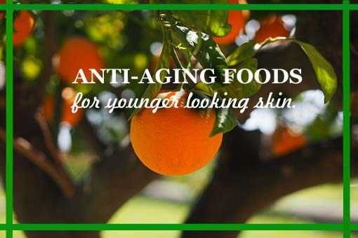 Best Anti Aging Foods For Younger Looking Skin | Lynnai Style