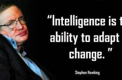 Between Artificial Intelligence and Humanity