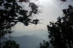 Between Heaven and Earth