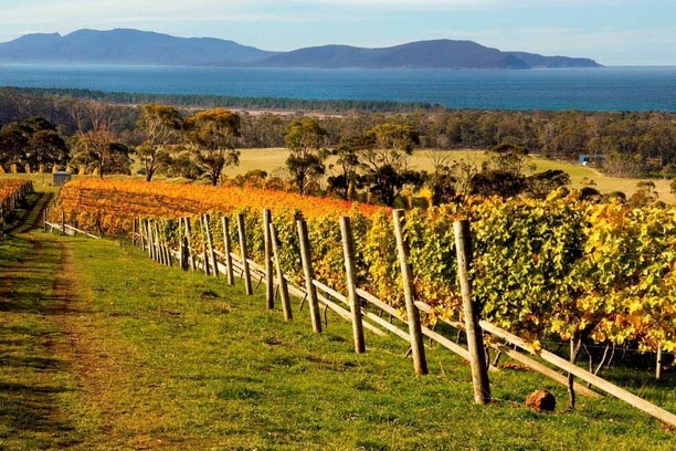 Between The Wines: Australian Wine Makes A Splash In Asia