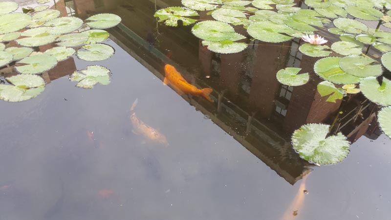 Beyond Fiscal Deficit, Lower T-Bills Is Just Better Optics