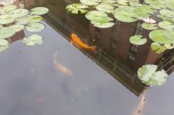 Beyond fiscal deficit, lower T-Bills is just better optics