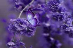 Bhagavad Gita says:~  “Just because one is born to a Brahmin doesn’t automatically make him a Brahmin. But he has more chances of becoming a Brahmin by acquiring or Brahma Gnana or Atma Gnana.*****