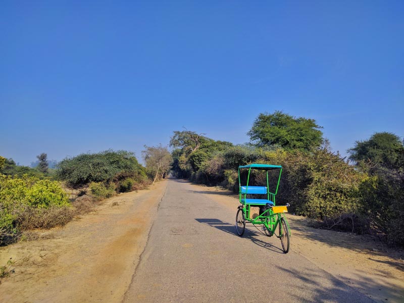 Bharatpur 2017: Getting My Mojo Back