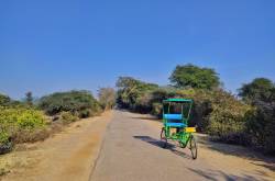 Bharatpur 2017: Getting My Mojo Back