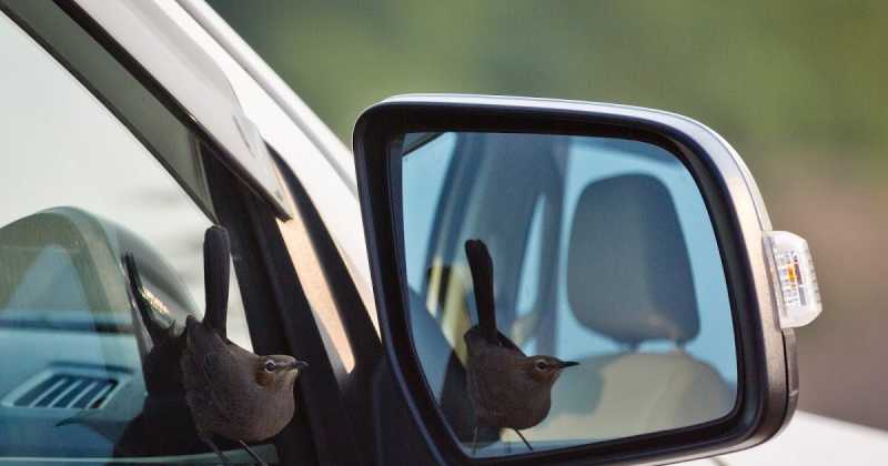 Bhigwan-16th December 2018 - Author - Supriya Gade