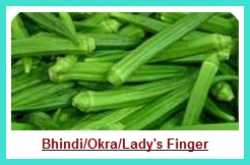 Bhindi Masala