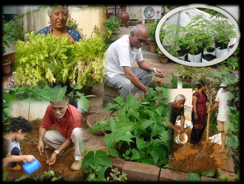 Bhoomi Mandir...in Every House