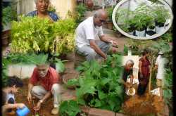 Bhoomi Mandir...in every house