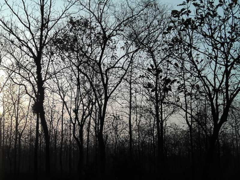 Bhutan Trip. Part 1: Crossing The Border