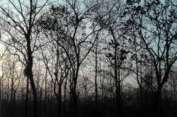 Bhutan Trip. Part 1: Crossing the border