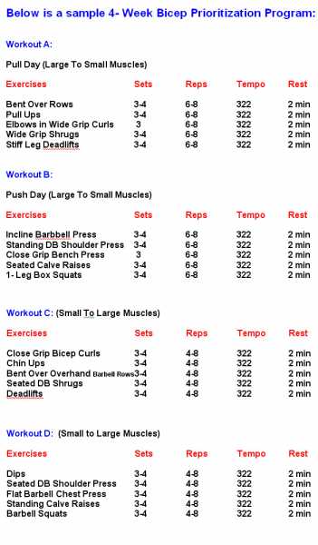 Biceps Exercises Chart For Building Big Biceps