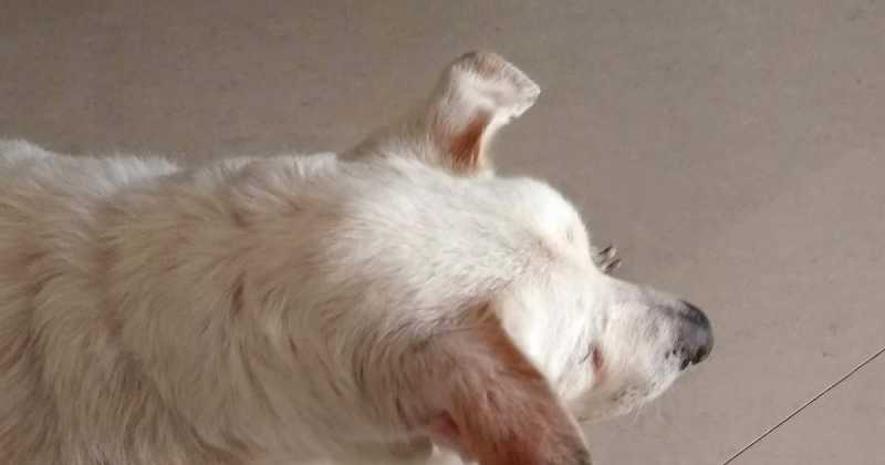 Big Brother Is Watching