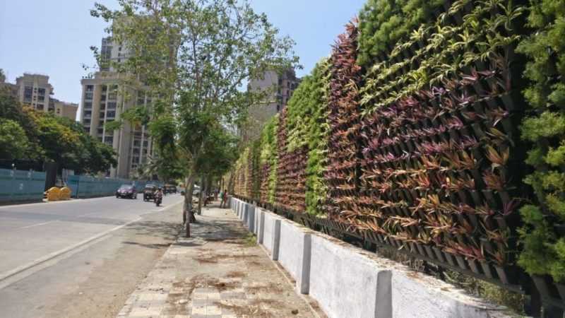 Bio-Fence To Protect Mangroves From Waste - MeMumbai