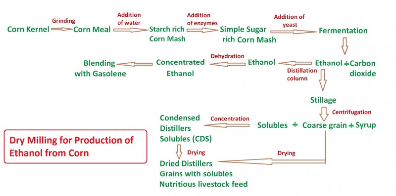 Bioethanol Production From Corn And Sugarcane - Biofuel Up To Date