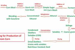 Bioethanol Production from Corn and Sugarcane - Biofuel up to date