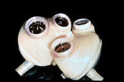 Biomedical engineering