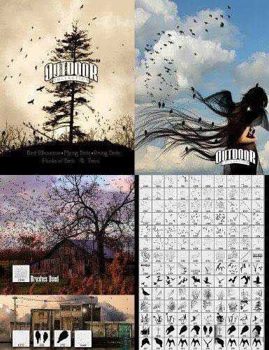 Birds Photoshop Brushes