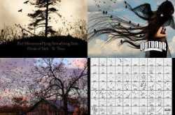 Birds Photoshop Brushes