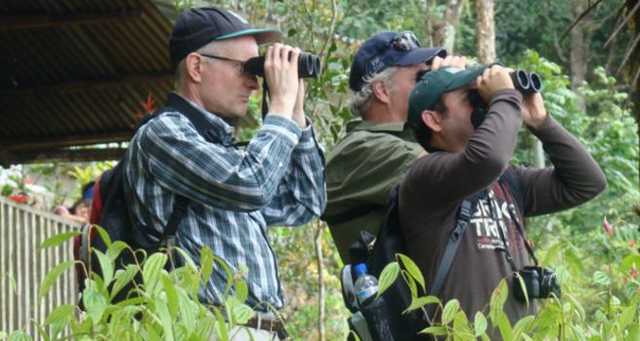Birdwatchers - Flocking To Costa Rica • VRAC