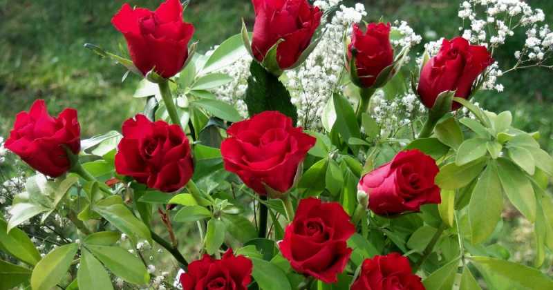 Birthday Wishes To My Wife - A Short Story