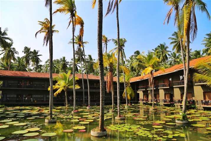 Birthday In Konaseema!