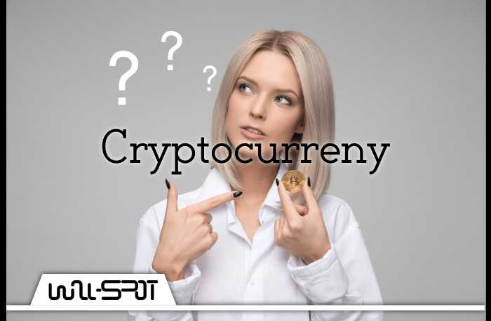 Bitcoin And Cryptocurrency Litigation - Wall-spot