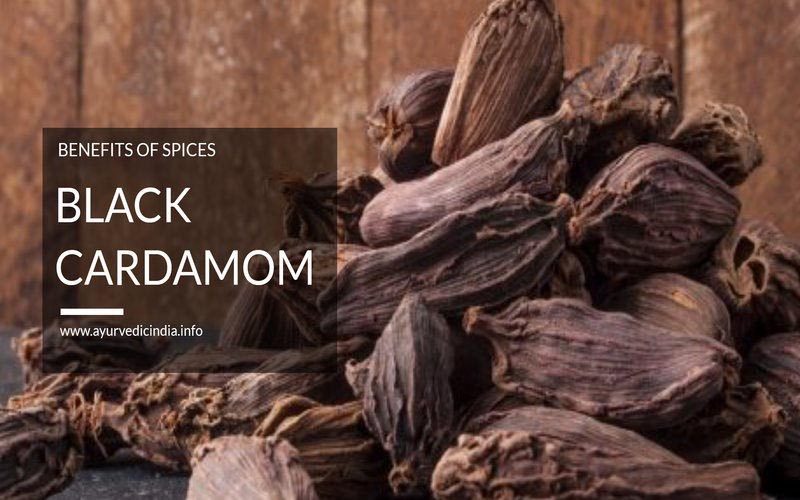 Black Cardamom (Badi Elaichi) - Health Benefits And Side Effects