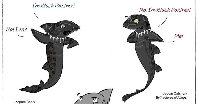 Black Panther Vs Black Panther?