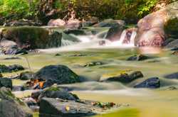 Black River, Hucklebarney State Park NJ