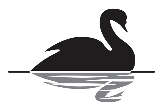 Black Swan Theory - Master And Student