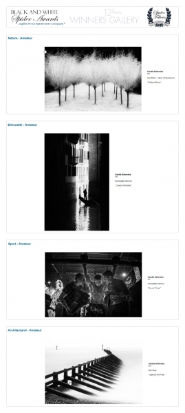 Black And White Spider Awards 2017