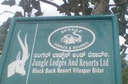 Blackbucks Resort,Bidar
