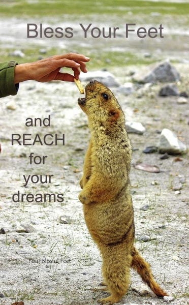 Bless Your Feet – Reach For Your Dreams