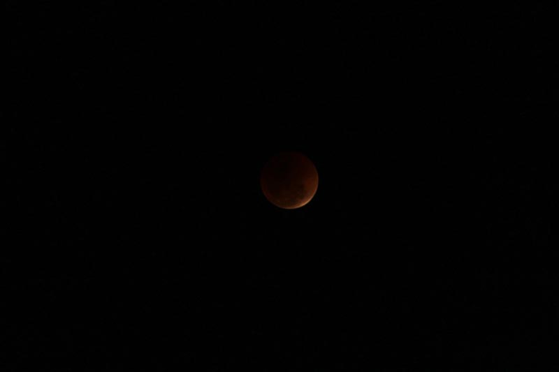 Blood Moon Eclipse