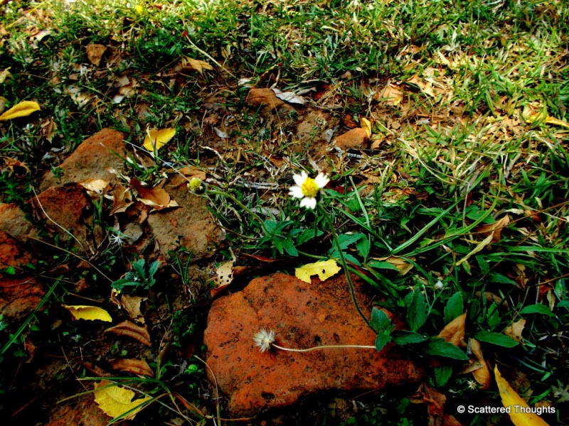 Blood On The Boulder!