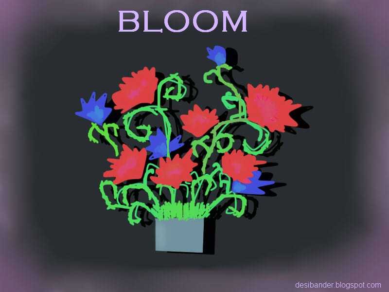 Bloom